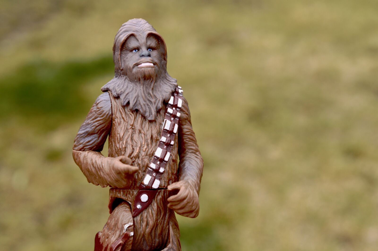Nikon D3200 sample photo. Star wars, chewbacca, action photography