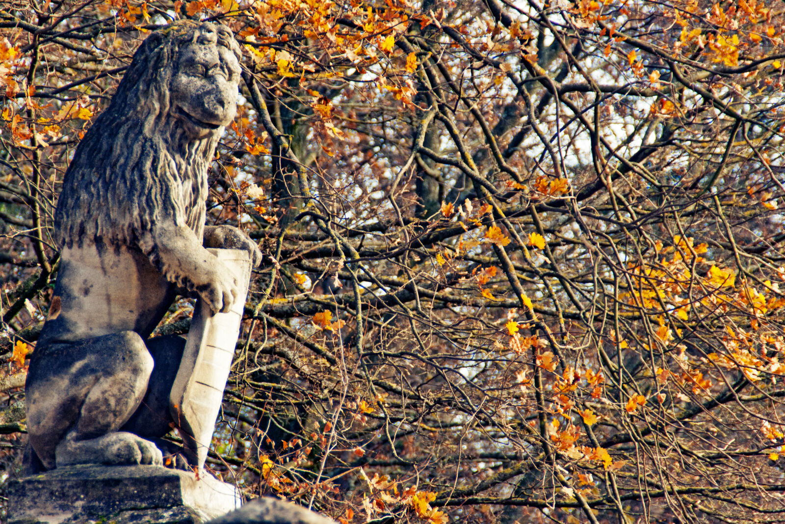 Tamron AF 18-200mm F3.5-6.3 XR Di II LD Aspherical (IF) Macro sample photo. Autumn, lion, statue photography