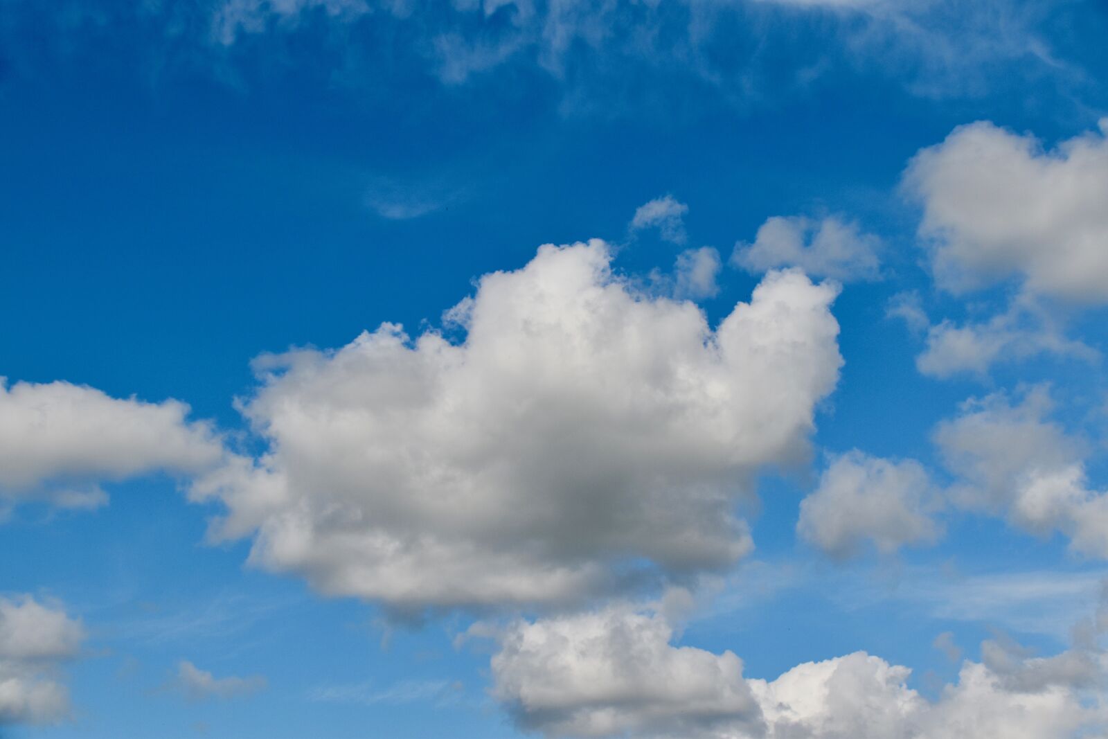 Nikon D5600 sample photo. Clouds, white clouds, blue photography