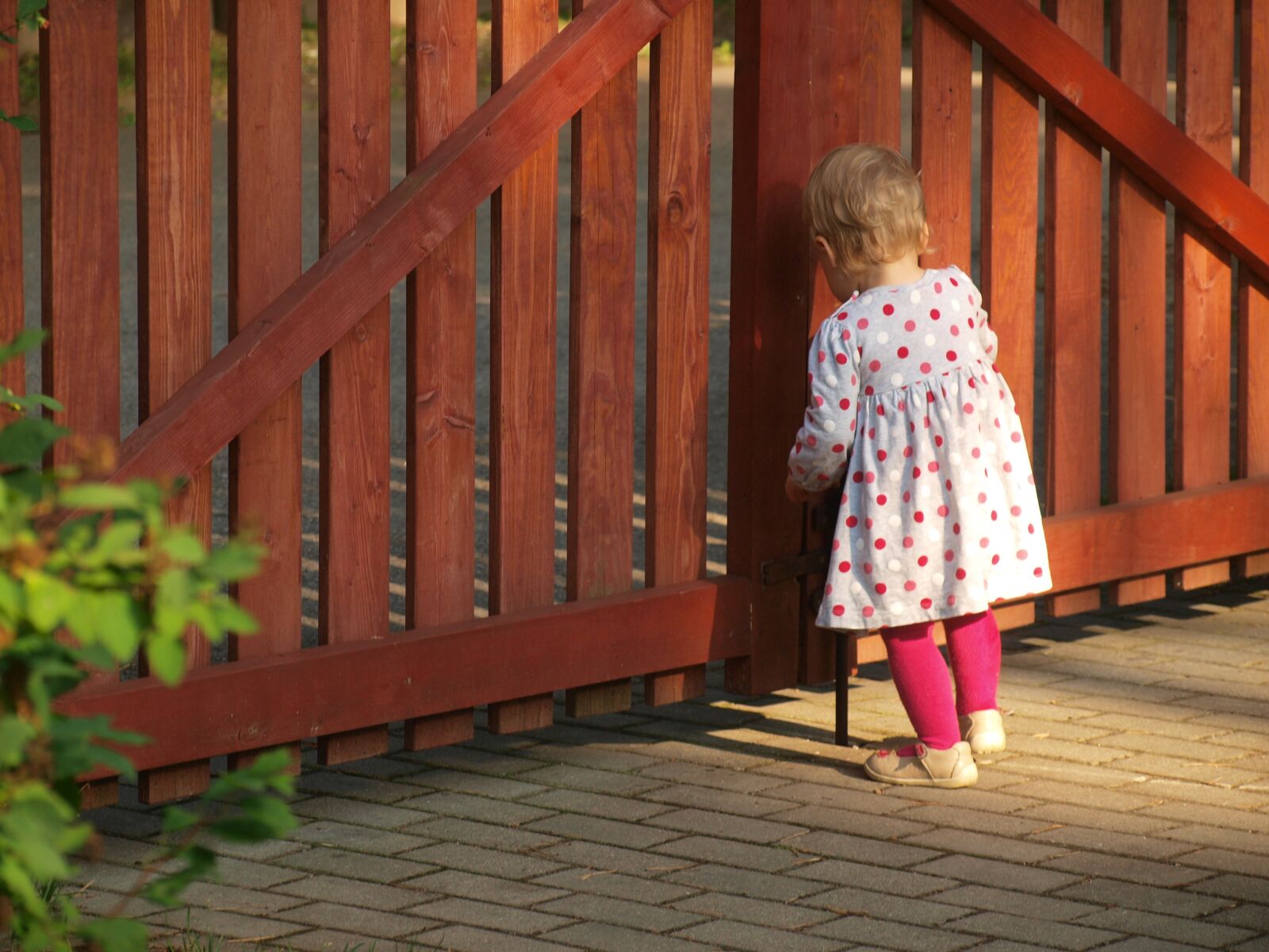 Olympus E-420 (EVOLT E-420) sample photo. Child, girl, summer photography