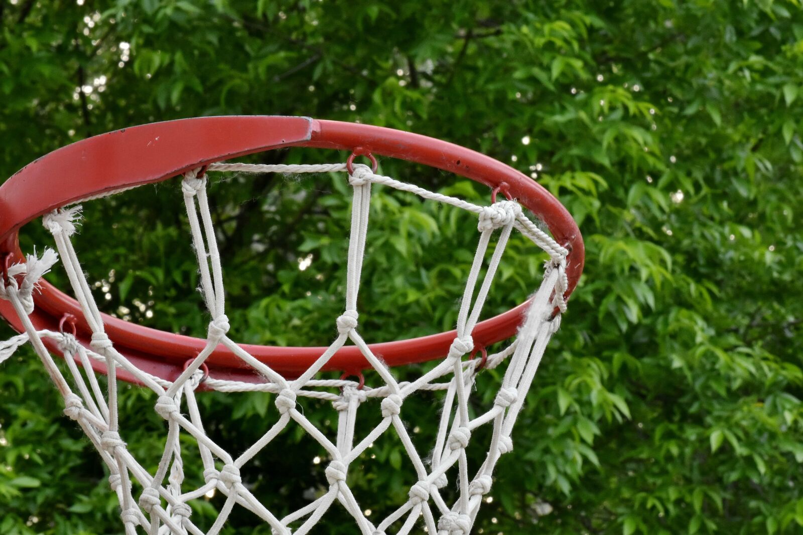 Nikon D5500 sample photo. Game, basketball, leisure, recreation photography
