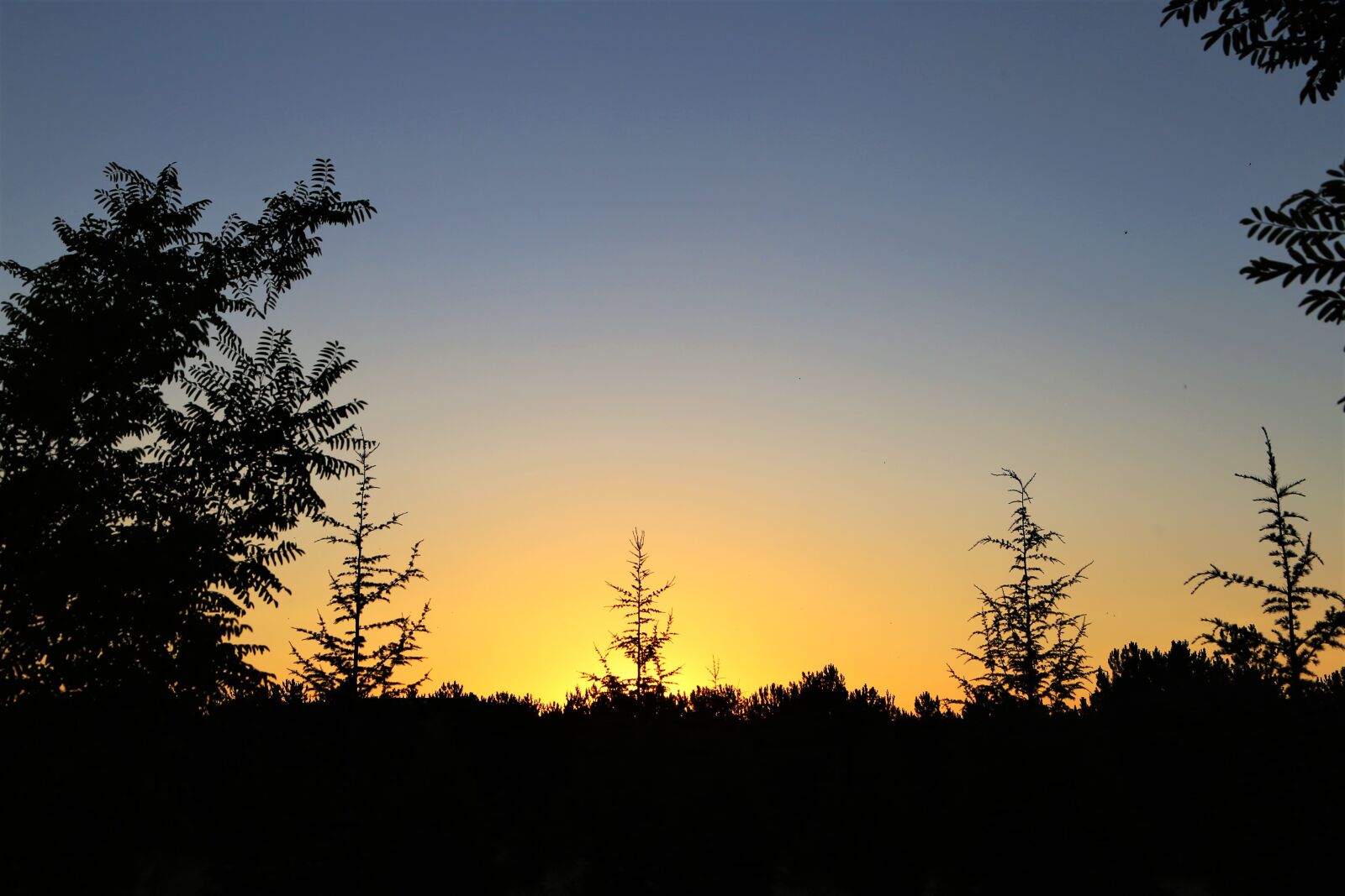 Canon EOS 6D + Canon EF 24-105mm F4L IS USM sample photo. Sunset, in the evening photography