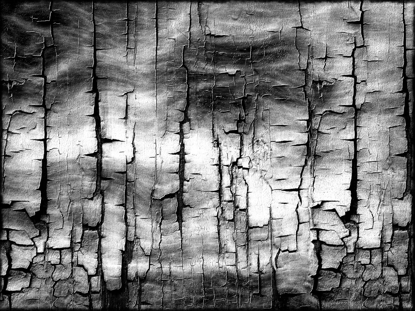 Panasonic DMC-TZ7 sample photo. Background, black, white photography