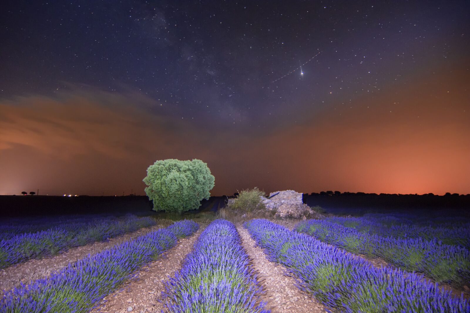 Tokina AT-X 12-28mm F4 Pro DX sample photo. Via lacteal, noche, lavanda photography