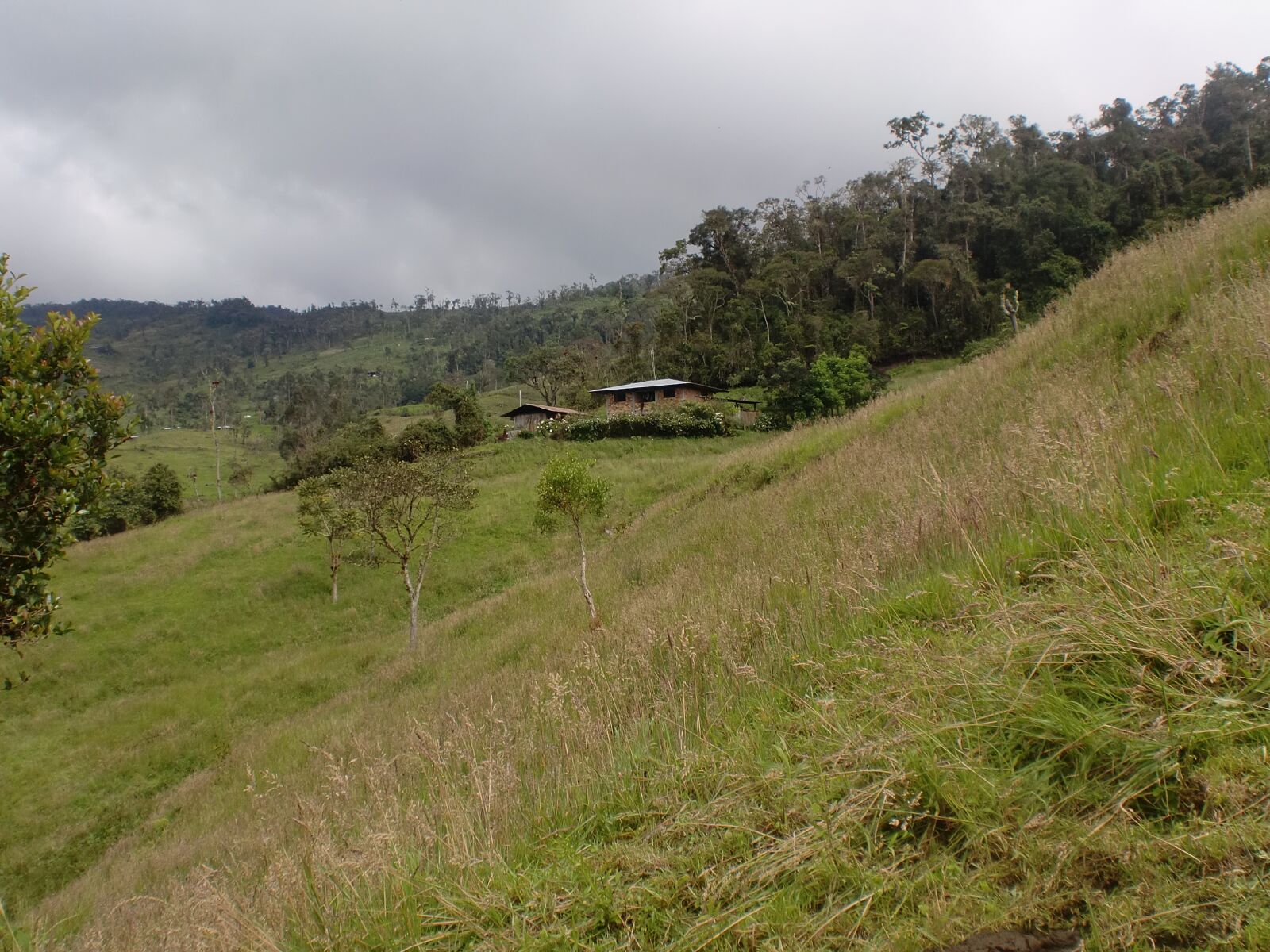 CASIO EX-Z90 sample photo. House, field, rural photography