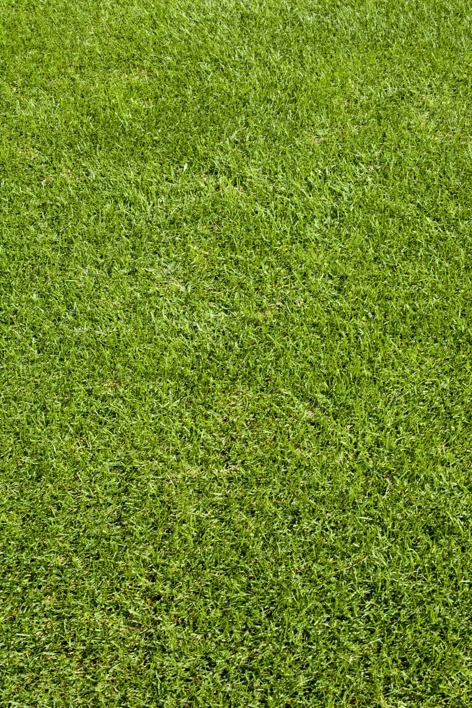 Canon EOS 5D sample photo. Golf, golf tournament, golf photography