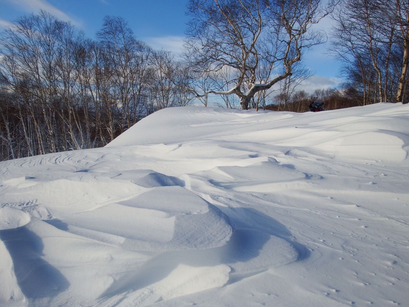 Fujifilm FinePix S1 sample photo. Winter, snow, cold photography