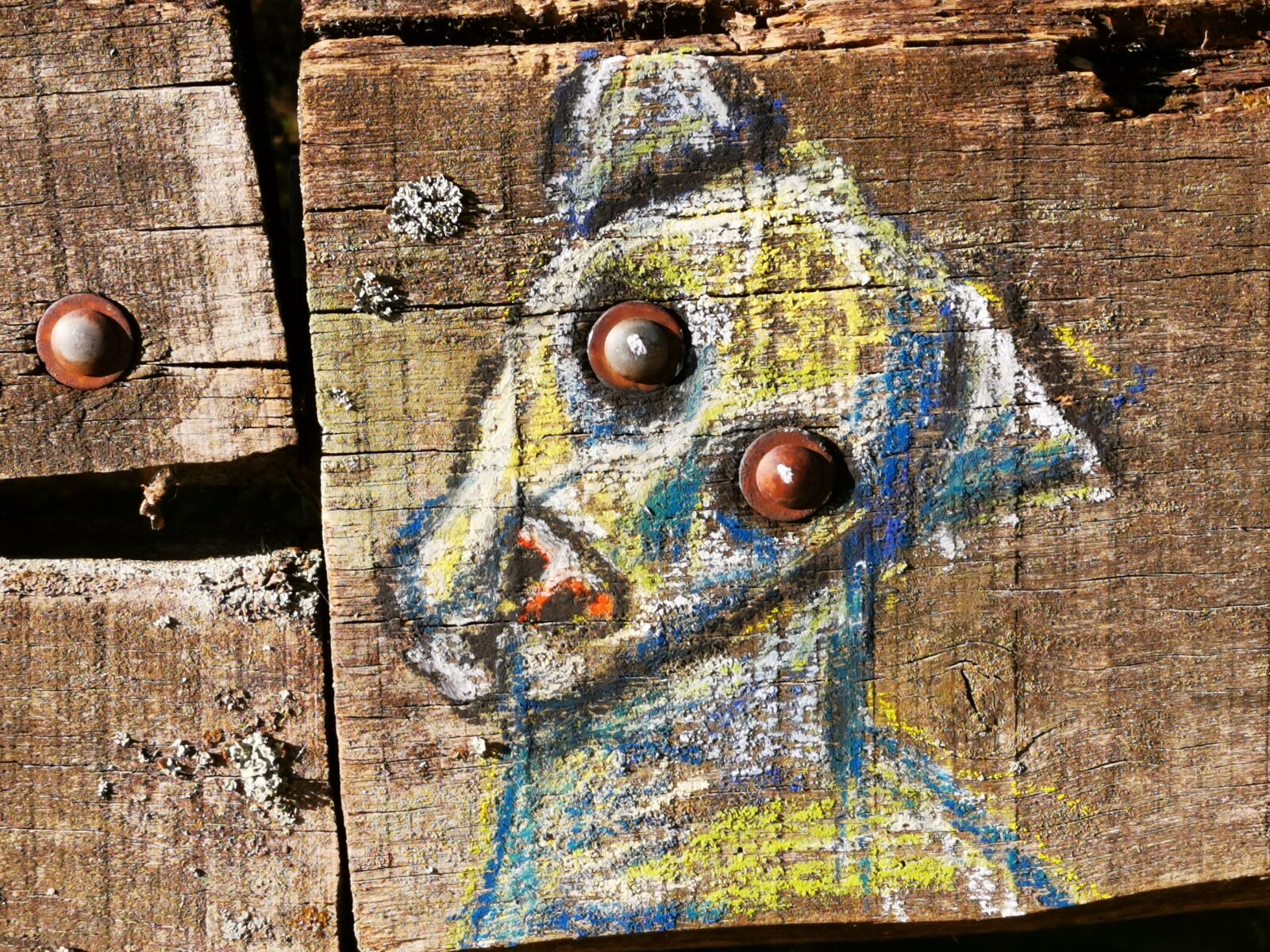 HUAWEI LYA-L29 sample photo. Animal, drawing, chalk photography