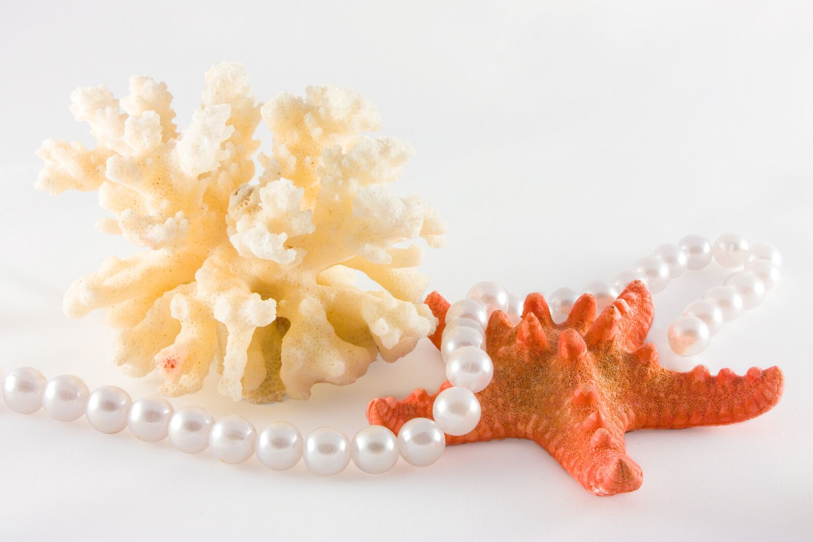 Canon EOS 450D (EOS Rebel XSi / EOS Kiss X2) sample photo. Pearl, starfish, coral photography