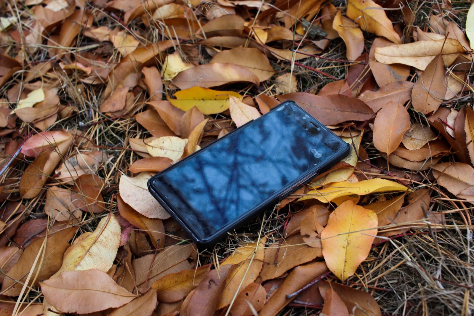 Canon EF-S 24mm F2.8 STM sample photo. Mobile phone, autumn, lost photography