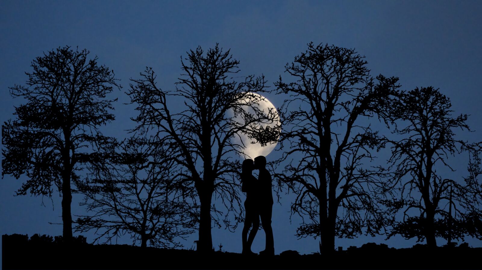 Panasonic Lumix DMC-FZ200 sample photo. Night, moon, landscape photography