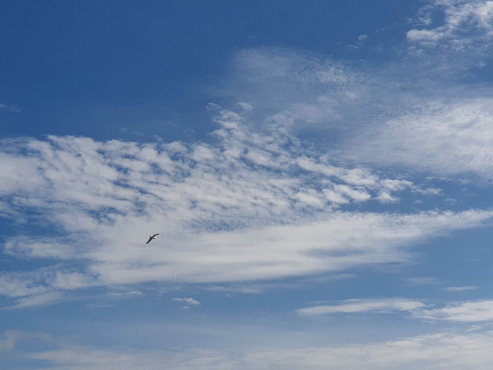 Samsung Galaxy S9+ sample photo. Clouds, sky, weather photography