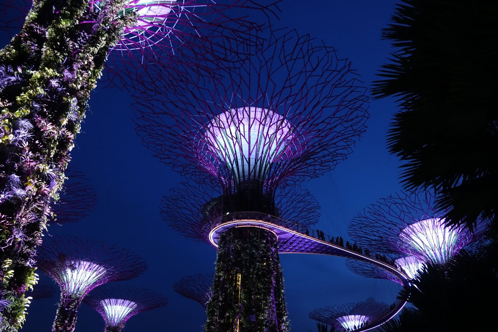 Sony Cyber-shot DSC-RX10 III sample photo. Singapore, supertree grove, background photography