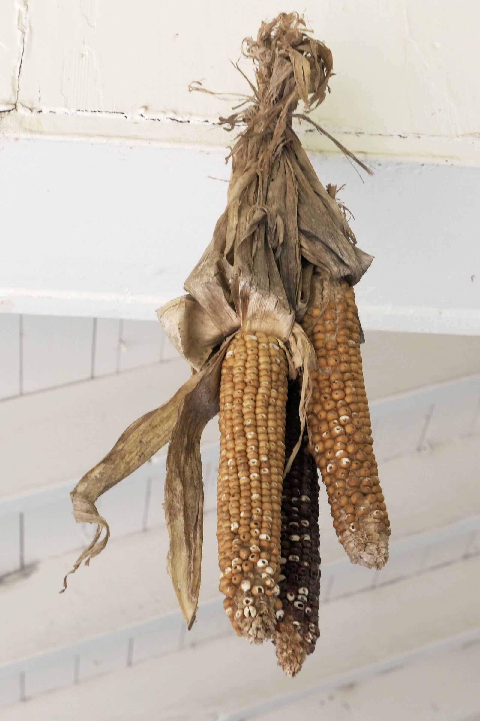 Panasonic DC-TZ200 sample photo. Hang, dry, kitchen photography