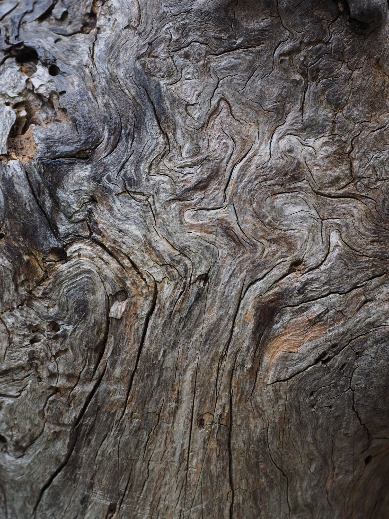 Olympus OM-D E-M1 + Olympus M.Zuiko Digital ED 12-40mm F2.8 Pro sample photo. Wood, grain, texture photography