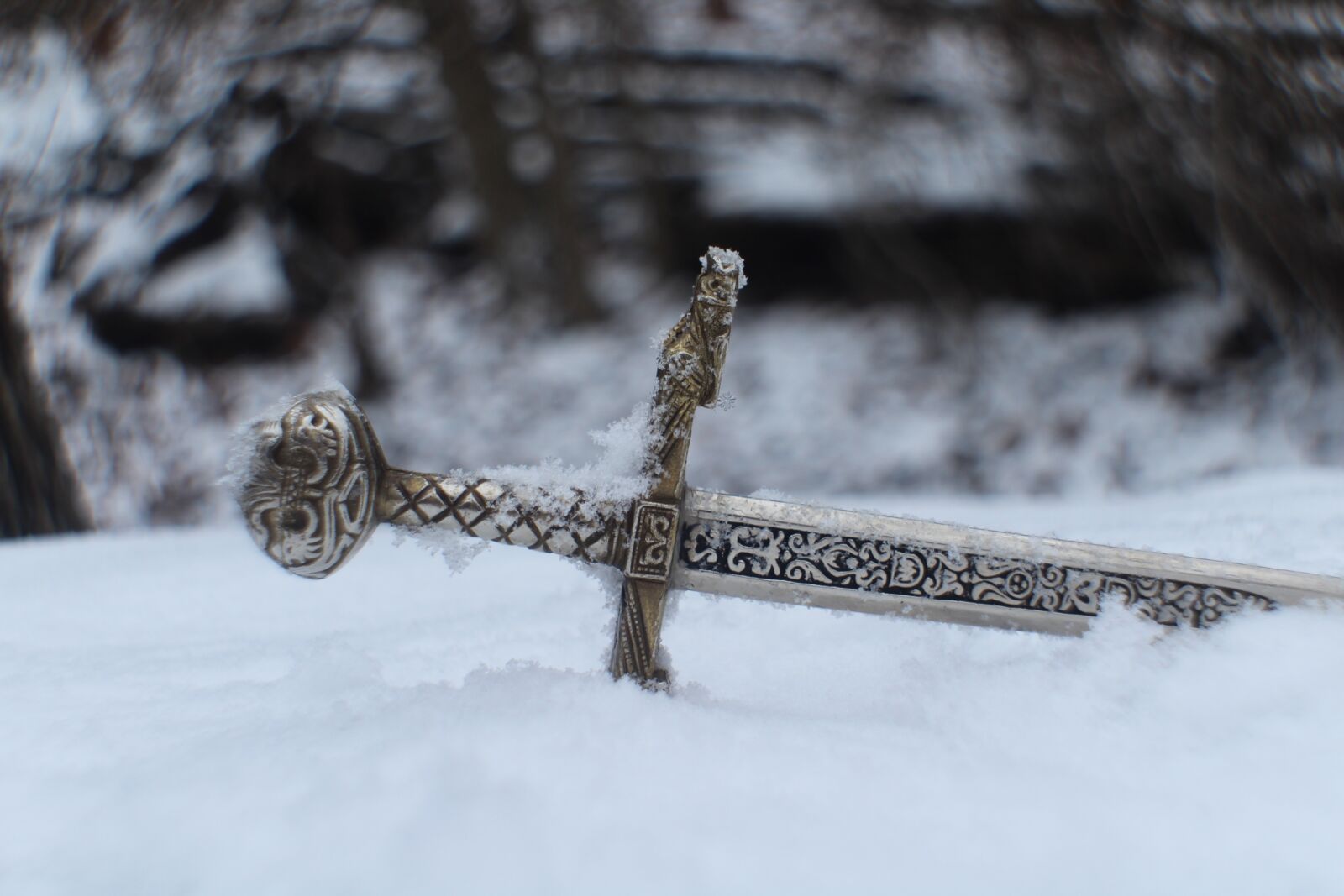Canon EOS 1300D (EOS Rebel T6 / EOS Kiss X80) sample photo. Sword, weapon, epic photography