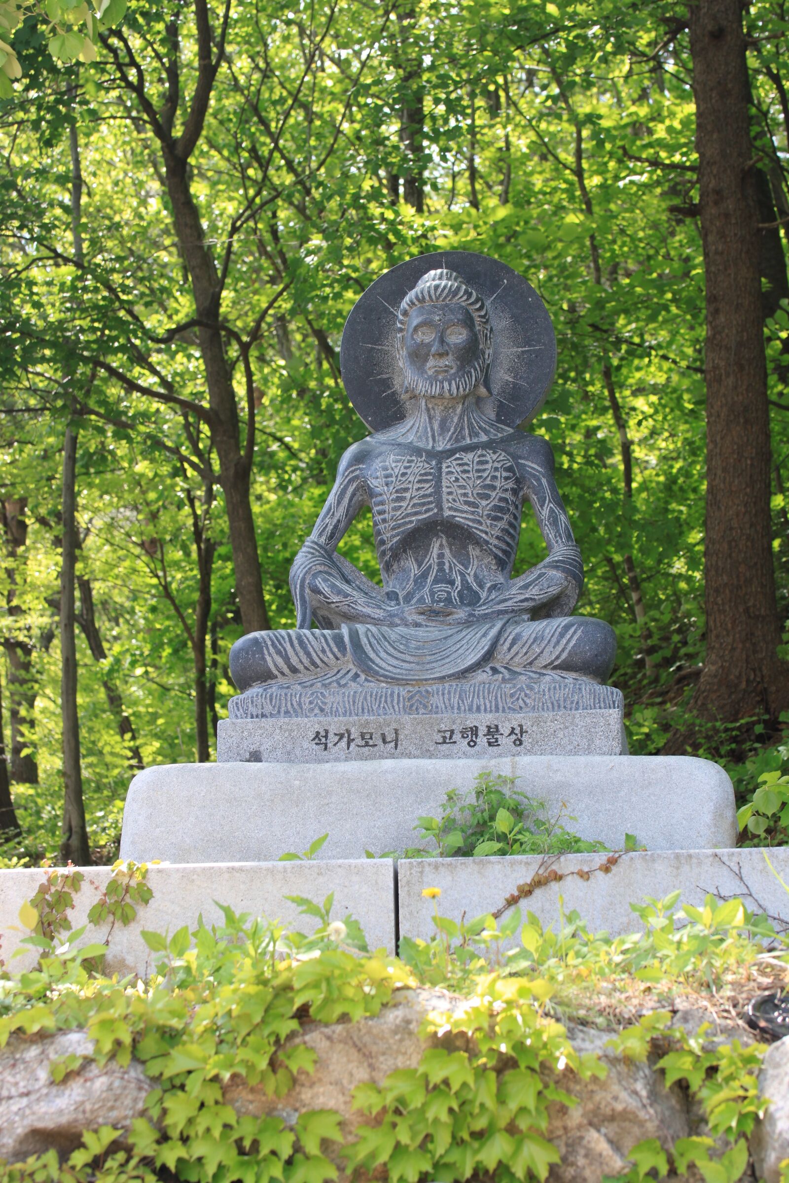 Canon EOS 500D (EOS Rebel T1i / EOS Kiss X3) sample photo. Buddha, stone, black photography