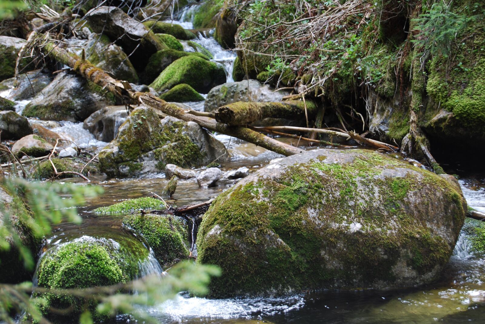 Nikon D60 sample photo. Rock, brook, mountains photography