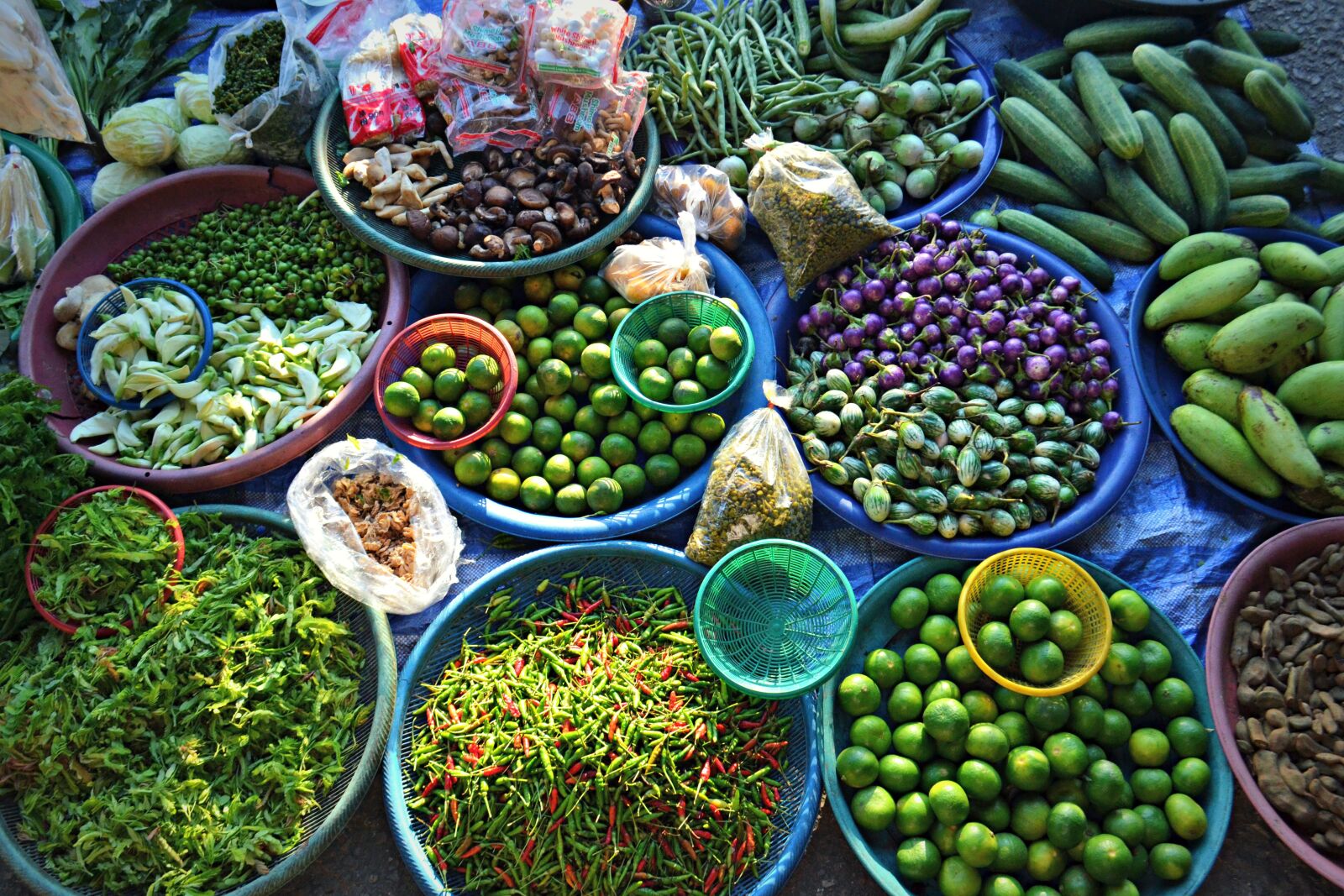 Nikon D3100 sample photo. Tropical, fruit, vegetables photography