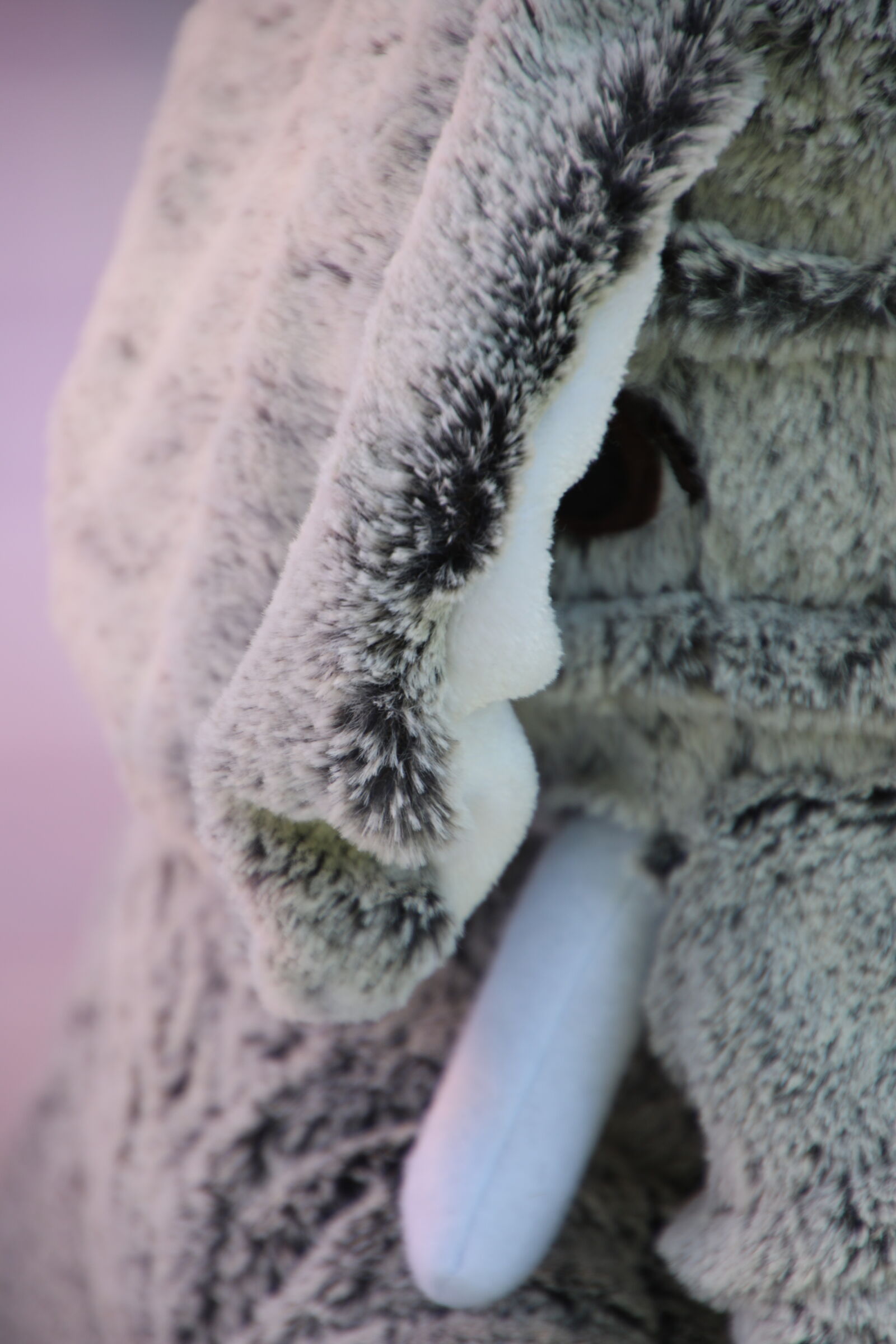 Canon EOS 7D Mark II sample photo. Animal, baby, ear, elephant photography