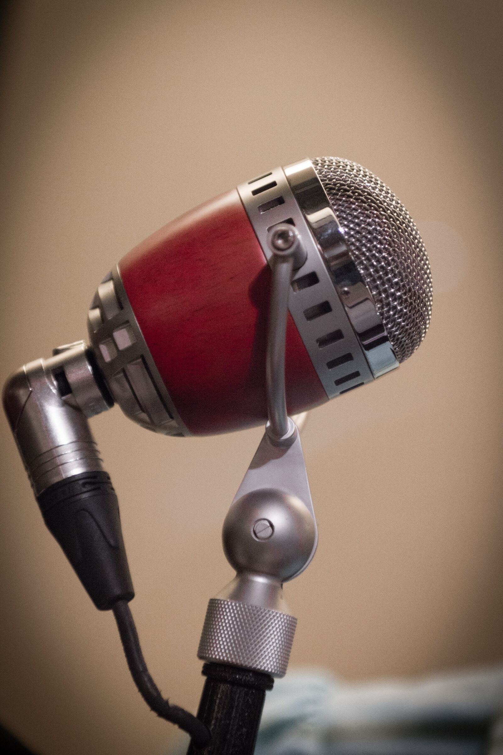 Canon EOS 550D (EOS Rebel T2i / EOS Kiss X4) sample photo. Microphone, karaoke, sound photography