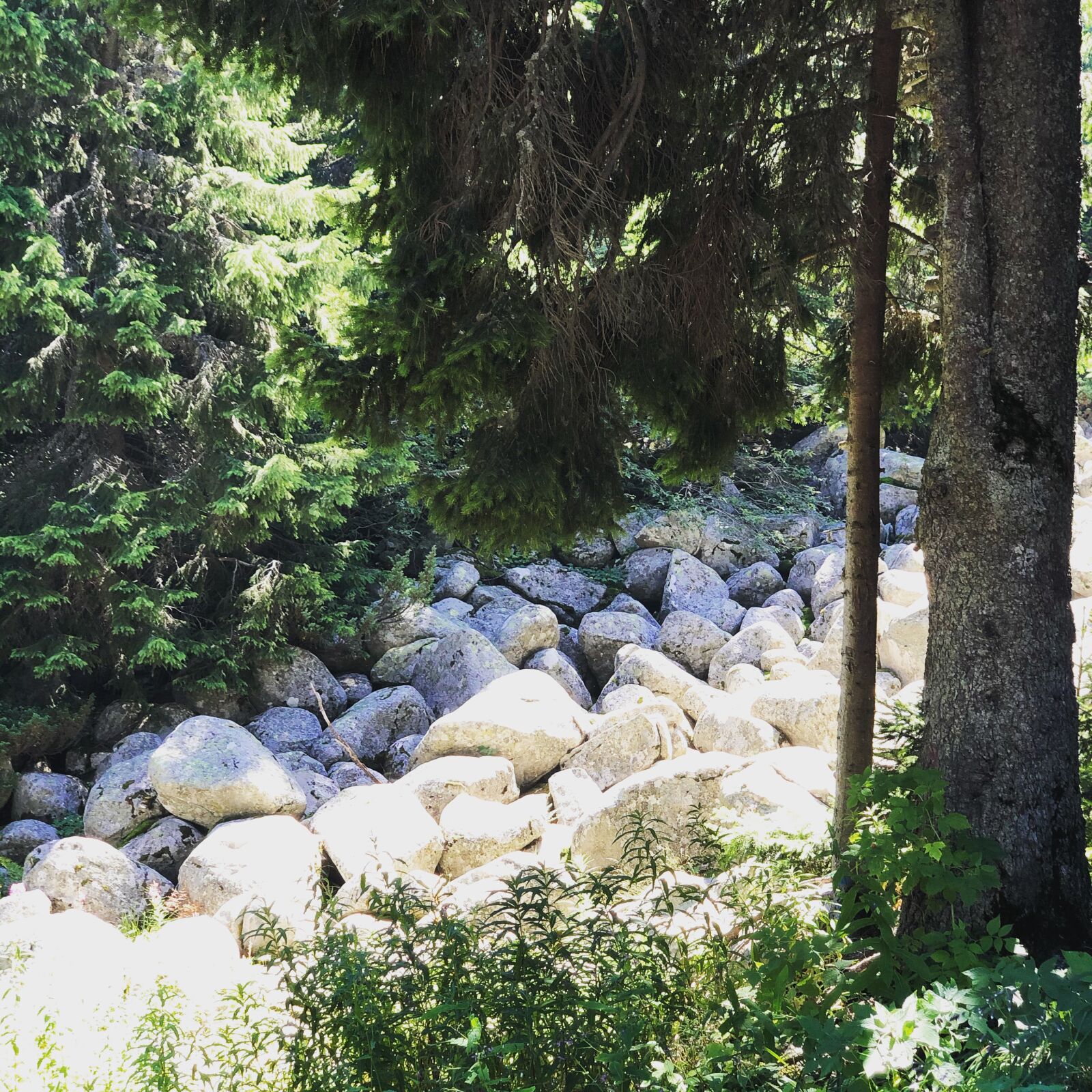 iPhone X back dual camera 6mm f/2.4 sample photo. Vitosha, moraines, mountain photography