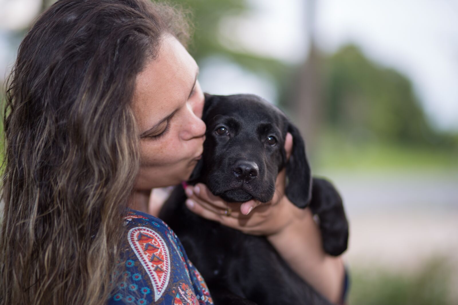 Canon EF 85mm F1.8 USM sample photo. Dog, canine, animals photography