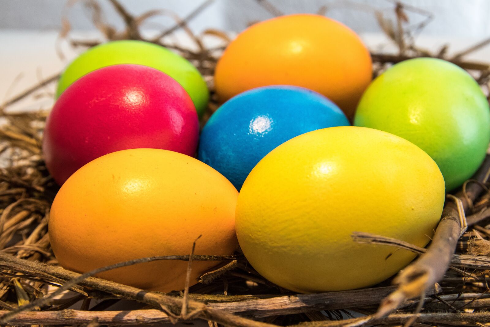 Canon EOS 80D sample photo. Easter, easter eggs, egg photography