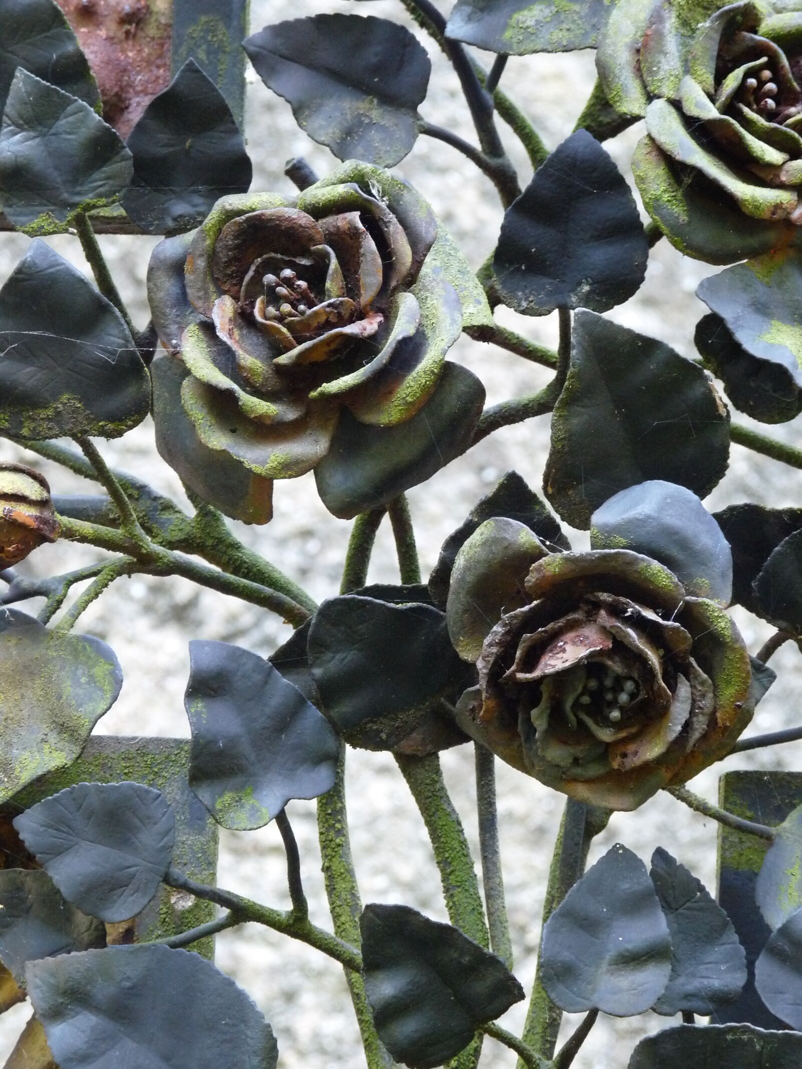 Panasonic Lumix DMC-FZ28 sample photo. Cemetery, forged, roses photography