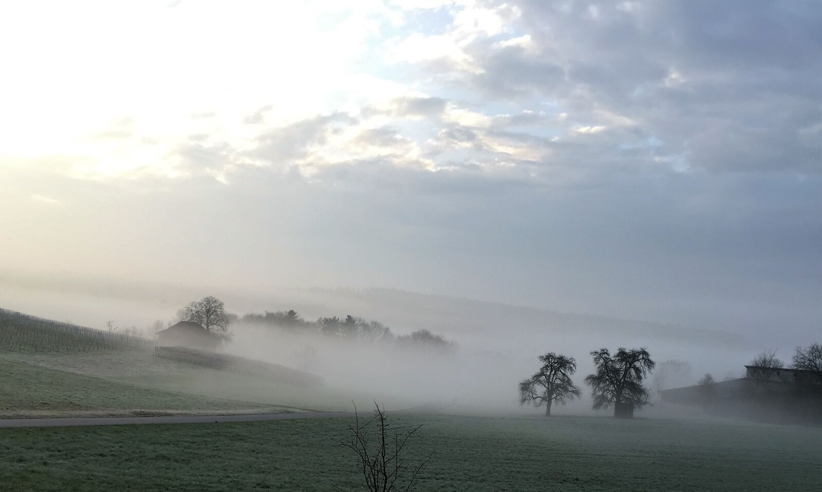 Apple iPhone 6 sample photo. Fog, landscape, mood photography