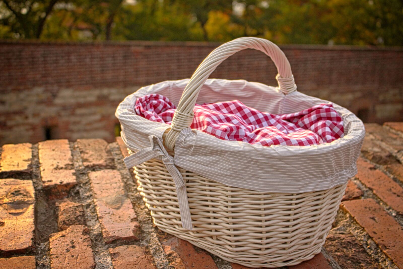 Canon EOS 100D (EOS Rebel SL1 / EOS Kiss X7) sample photo. Basket, brick, wall, bricks photography
