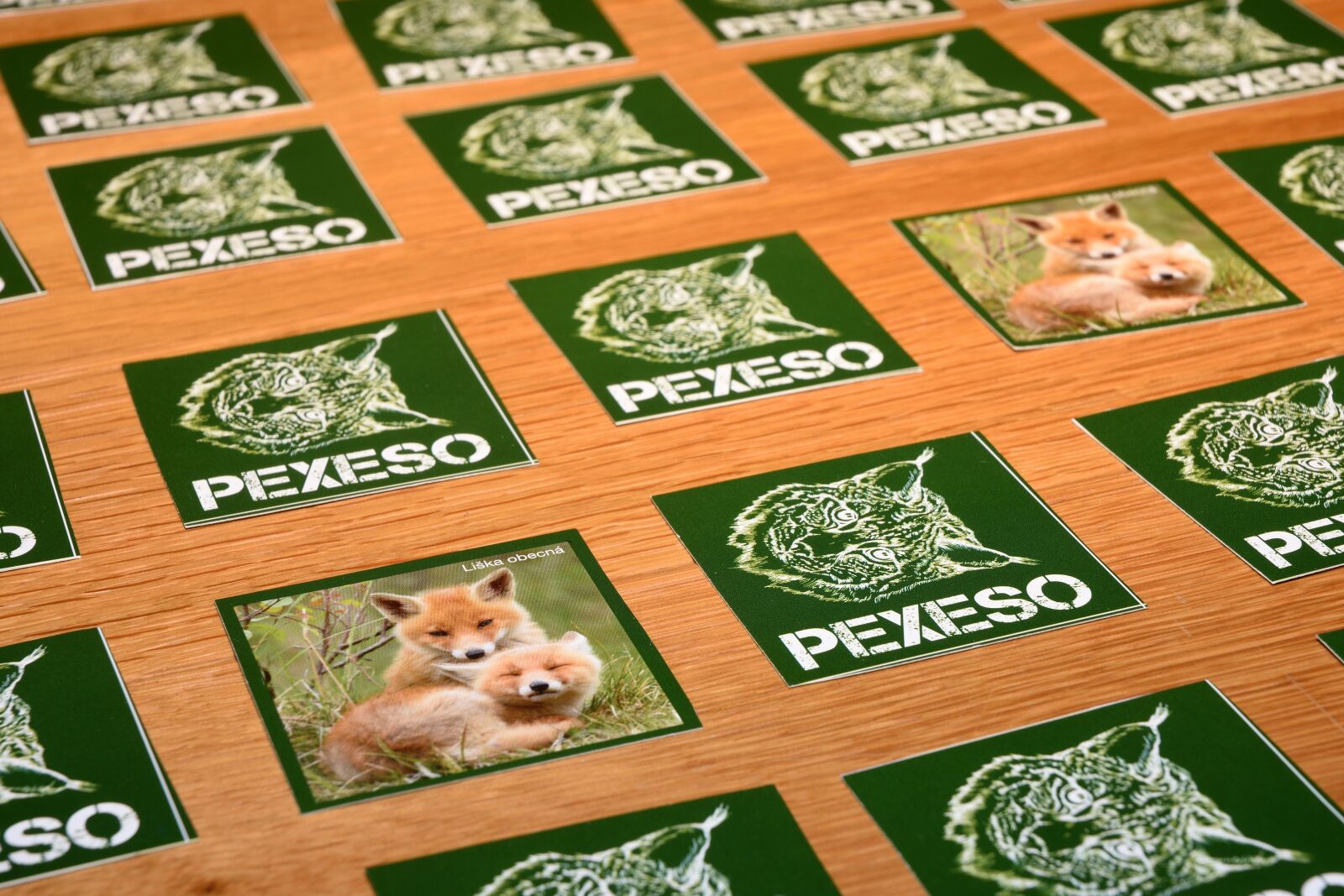 Nikon D7200 sample photo. Memory, board game, looking photography
