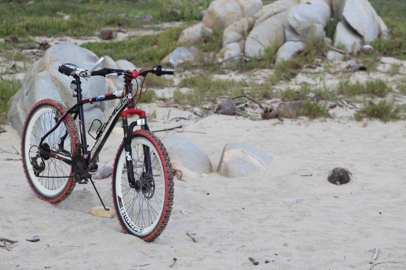 Canon EOS 1300D (EOS Rebel T6 / EOS Kiss X80) sample photo. Bicycle, bike, cycling photography