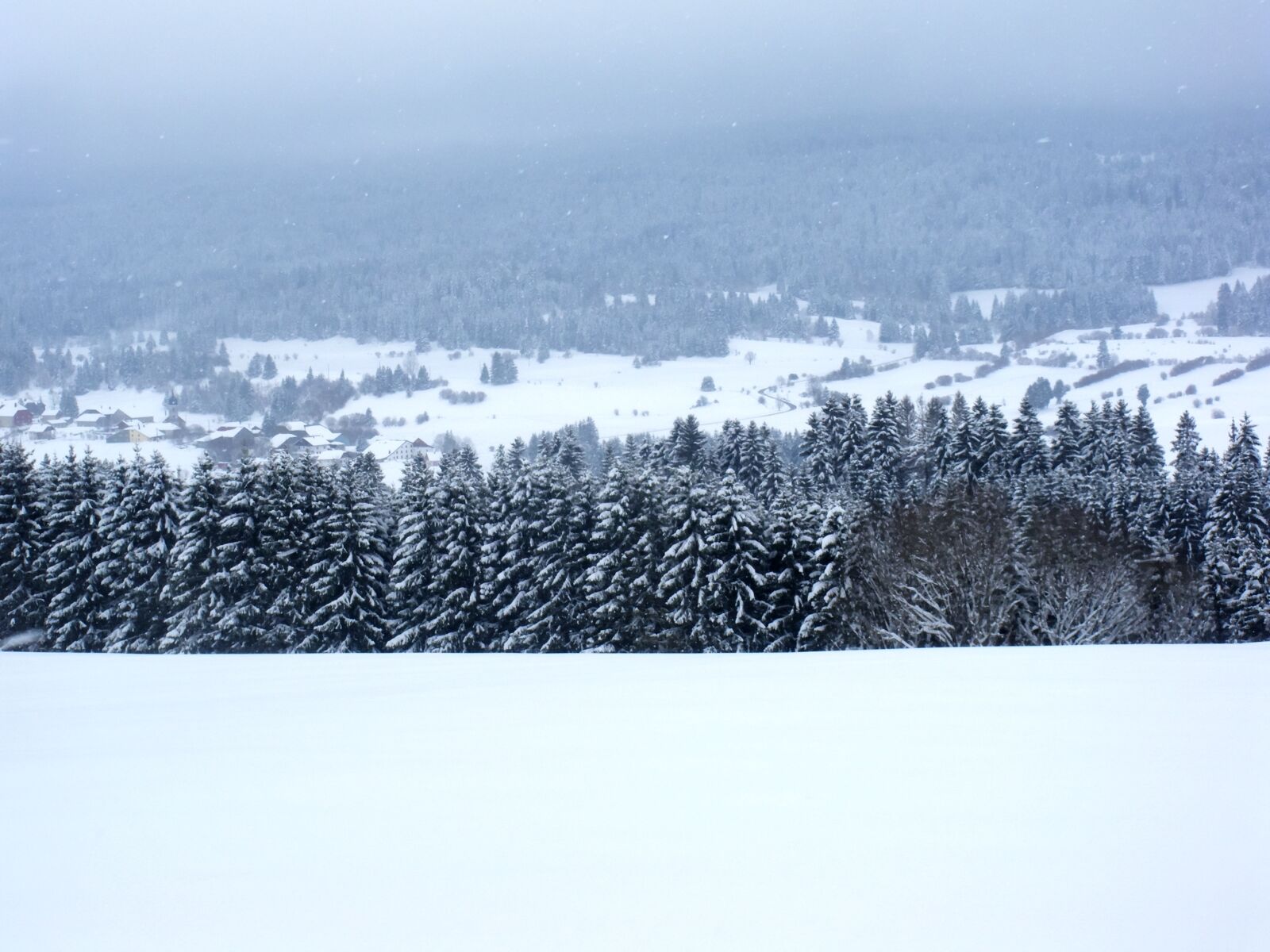 Pentax Optio M60 sample photo. Winter, landscape, nature photography