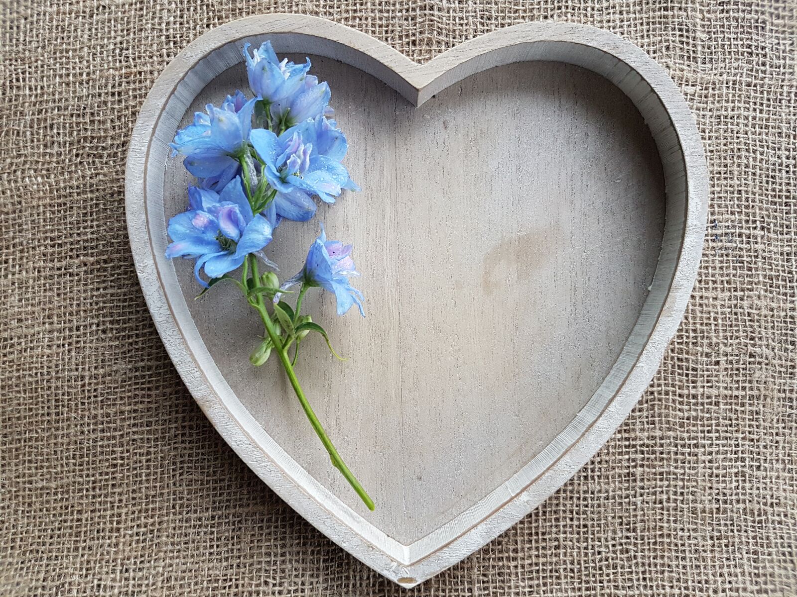 Samsung Galaxy S7 sample photo. Heart, flowers, decoupage photography