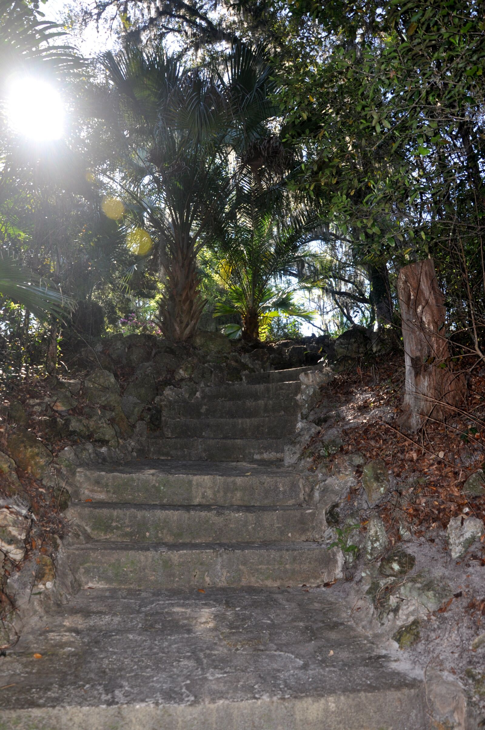 Nikon D90 sample photo. Sunset, ravine garden park photography