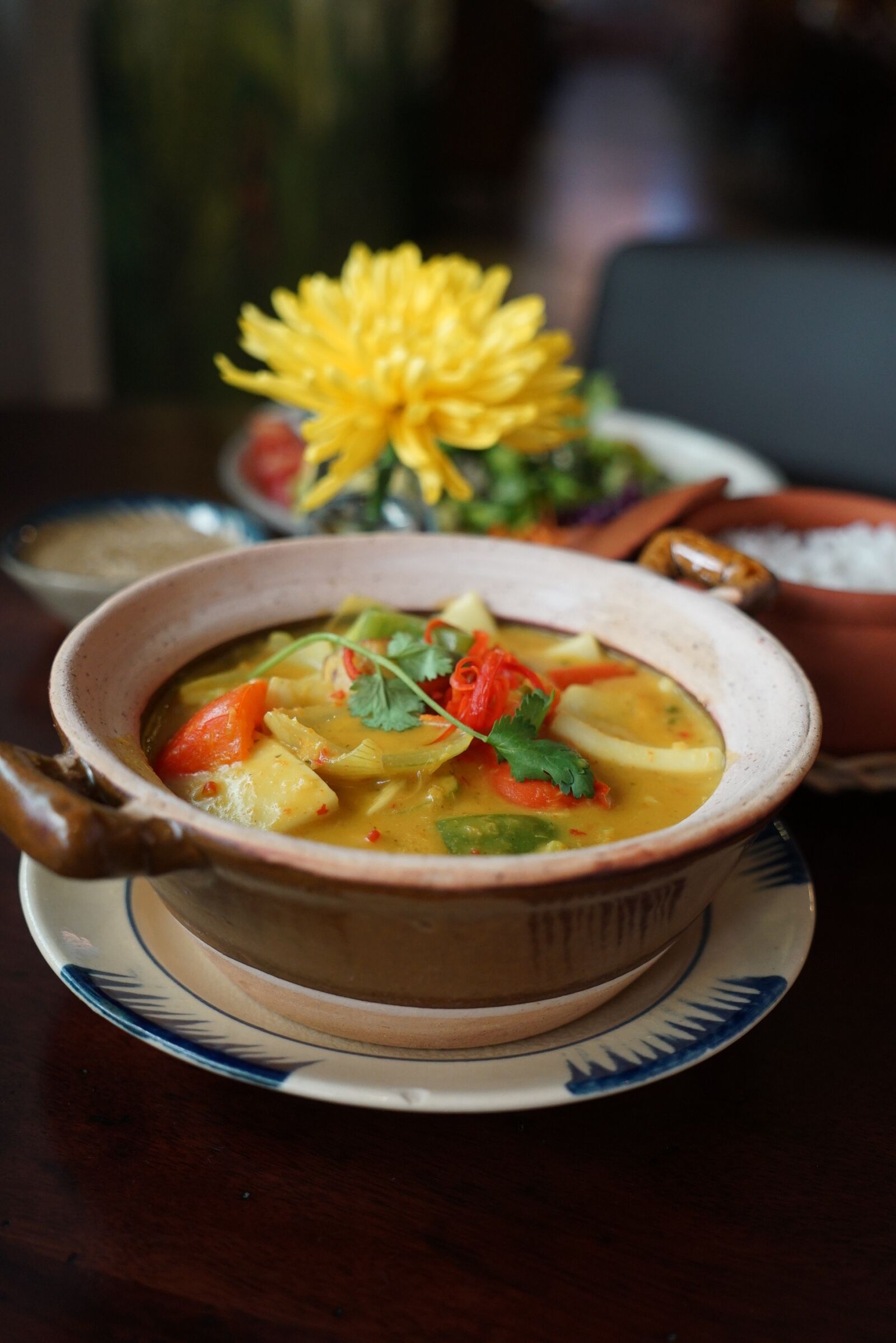 Sony a7S + Sony Vario Tessar T* FE 24-70mm F4 ZA OSS sample photo. Curry, vietnam, flower photography