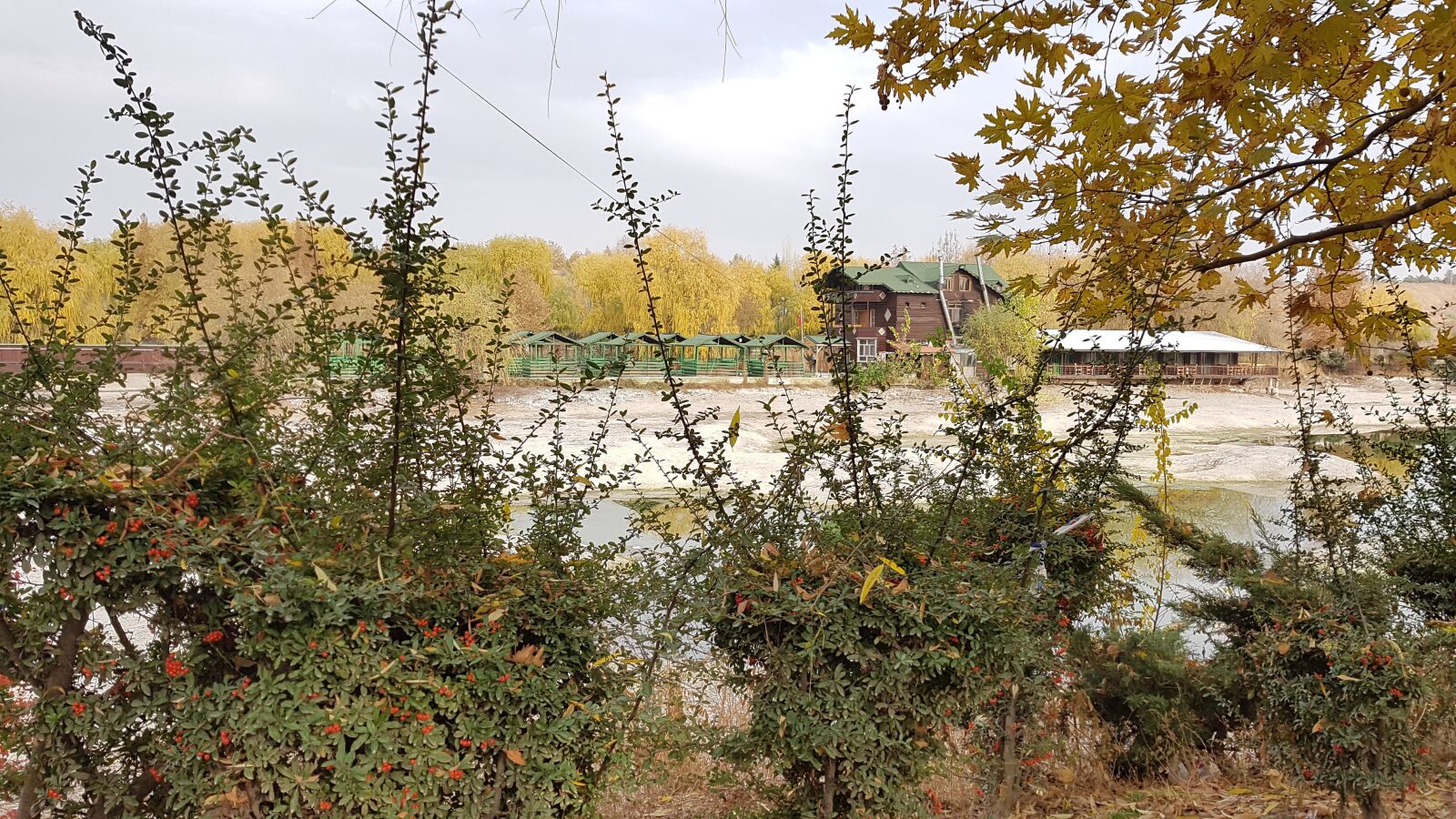 Samsung Galaxy S7 Edge sample photo. Nature, lake, forest photography