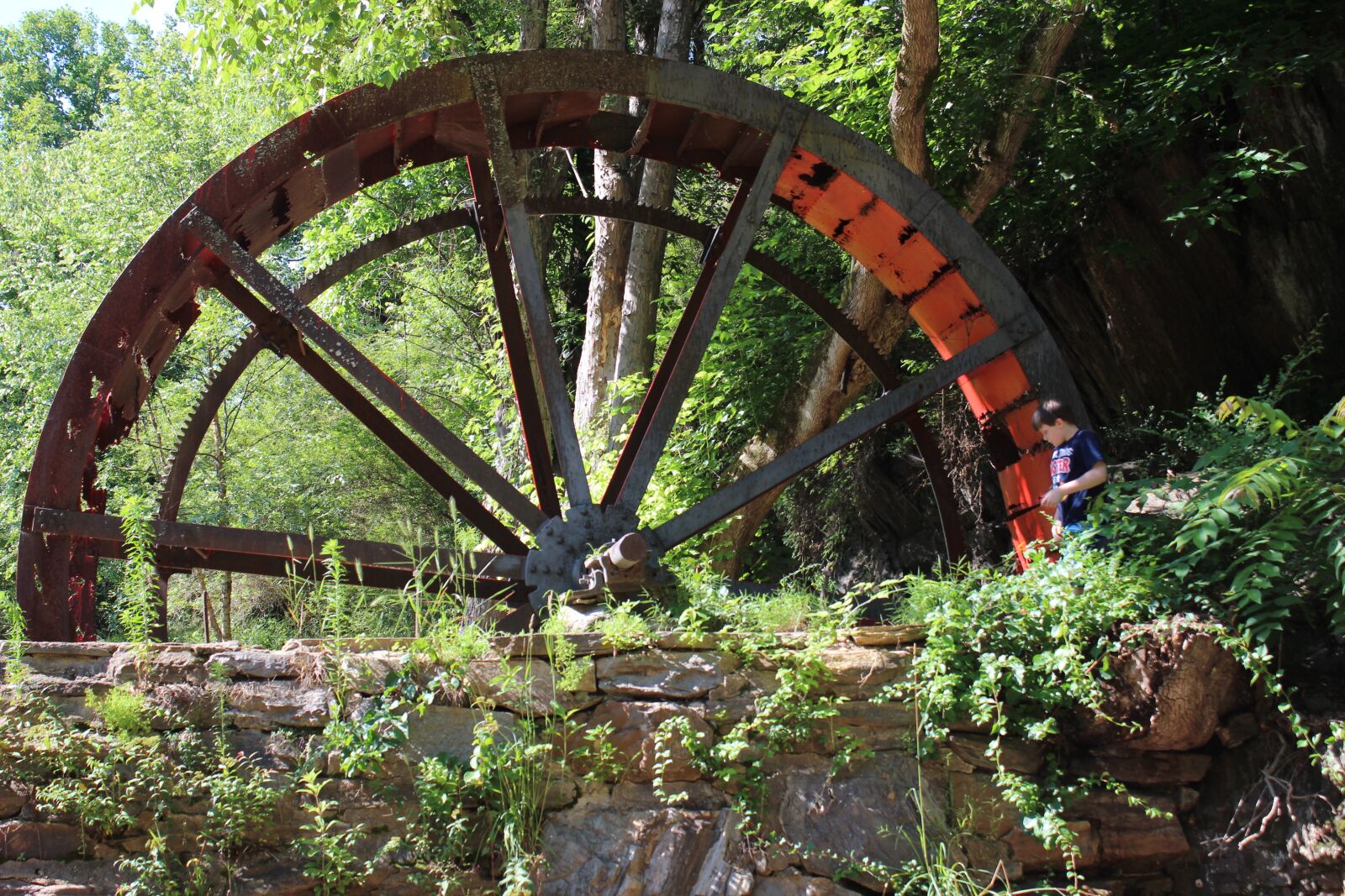 Canon EOS 600D (Rebel EOS T3i / EOS Kiss X5) sample photo. Wood, wheel, nature photography