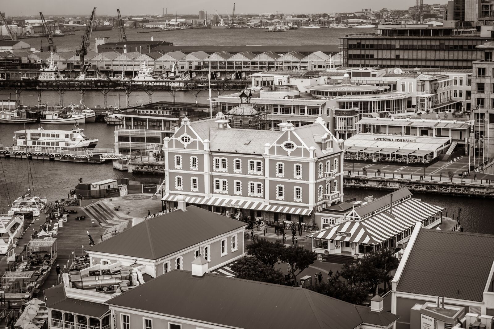 Nikon D750 sample photo. Cape town, black and photography