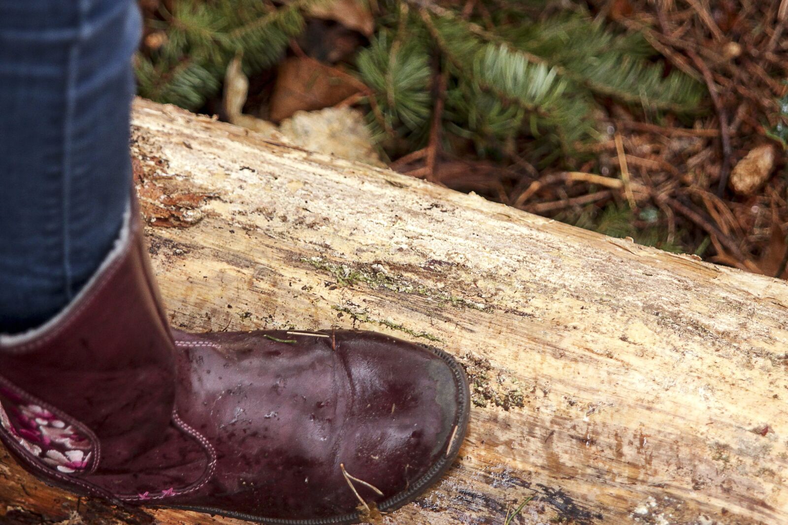 Canon EOS 550D (EOS Rebel T2i / EOS Kiss X4) sample photo. Foot, leather, footwear, wood photography