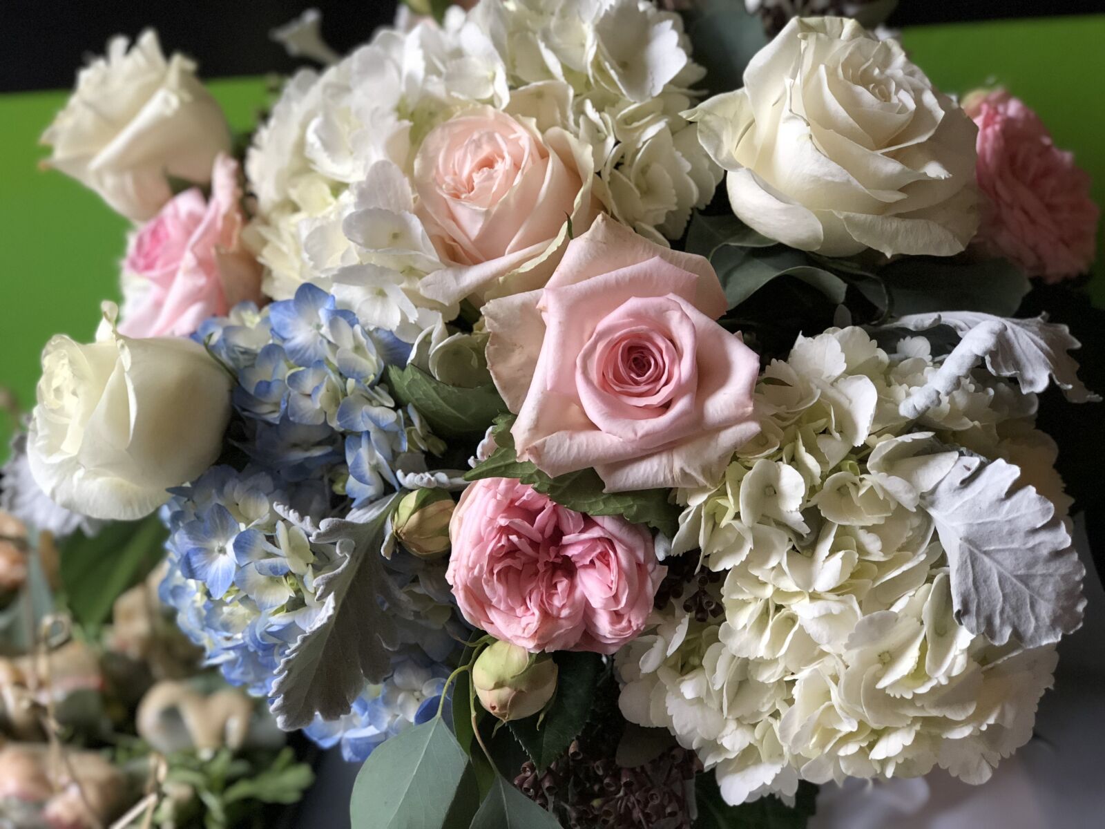 iPhone 8 Plus back dual camera 6.6mm f/2.8 sample photo. Rose, flower, bouquet photography
