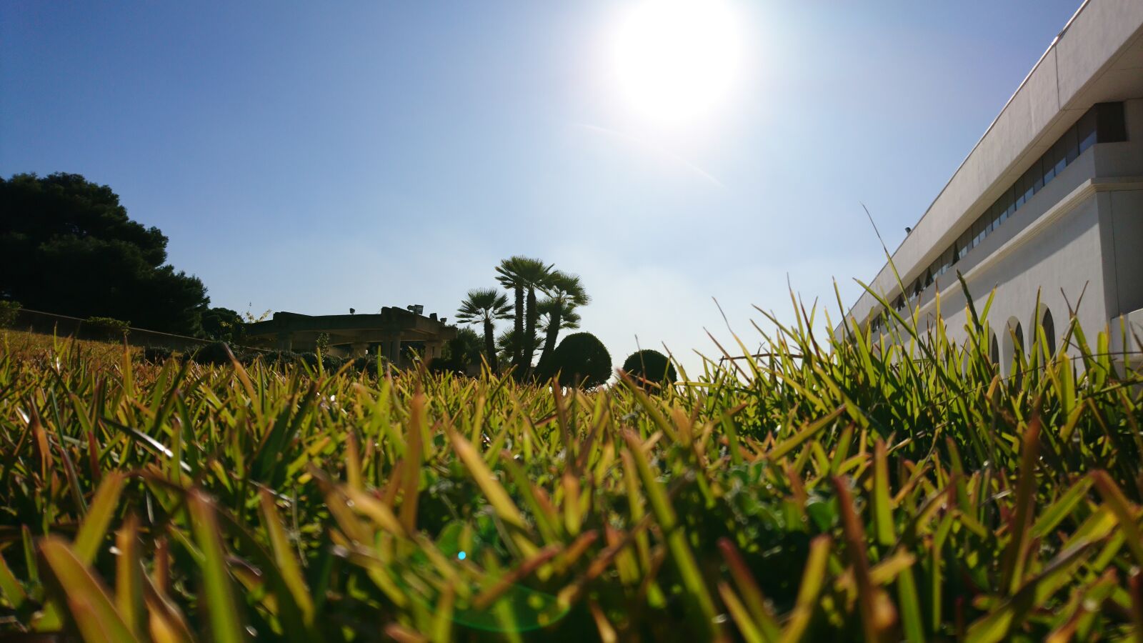 Sony Xperia X sample photo