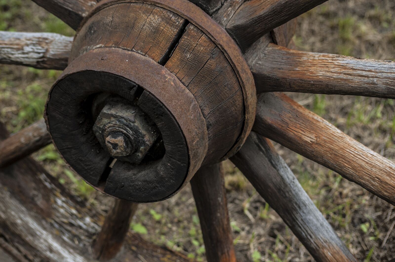 Nikon D50 sample photo. Wooden, wheel, wagon photography