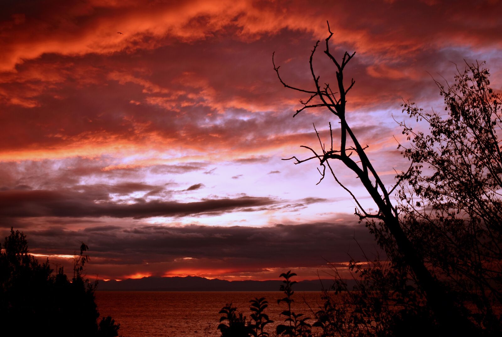 Nikon D3500 sample photo. Sunset, sky, clouds photography