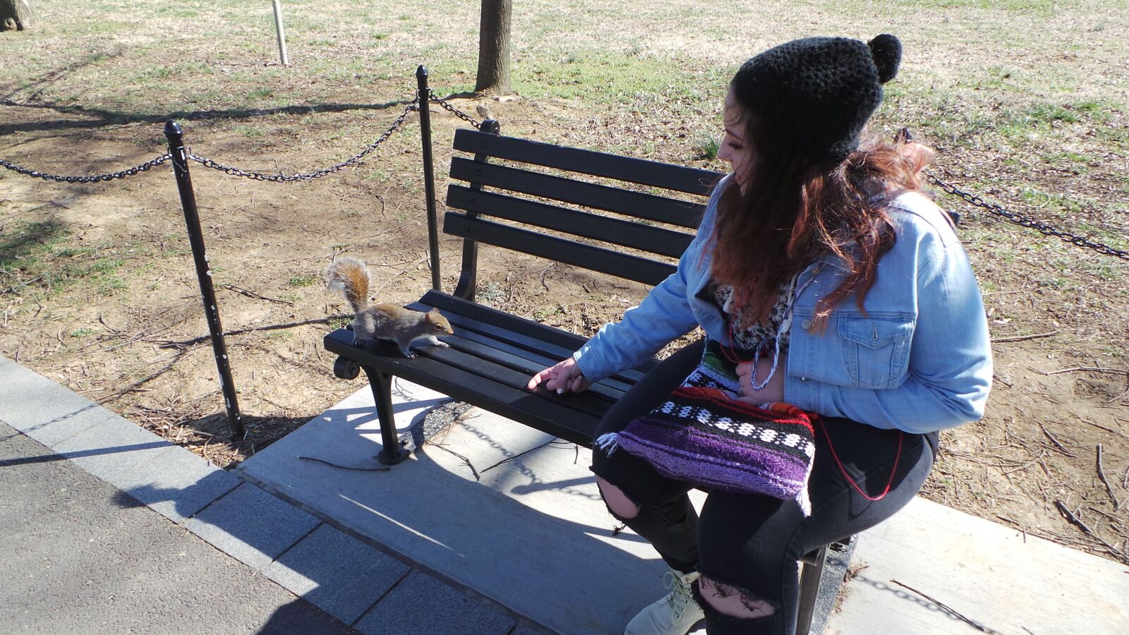 Samsung Galaxy Camera (Wi-Fi) sample photo. Girl, park bench, squirrel photography