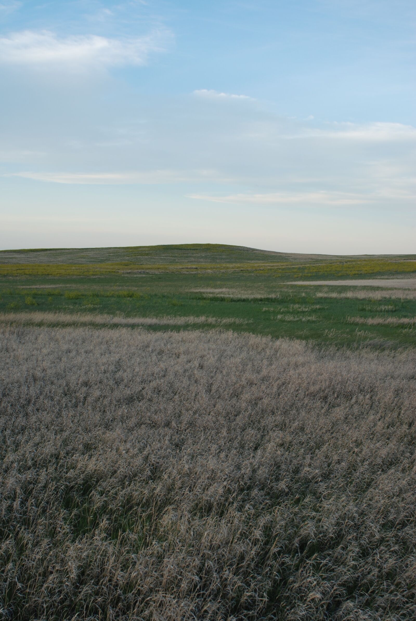 Nikon D80 sample photo. Terrain, field, nature photography