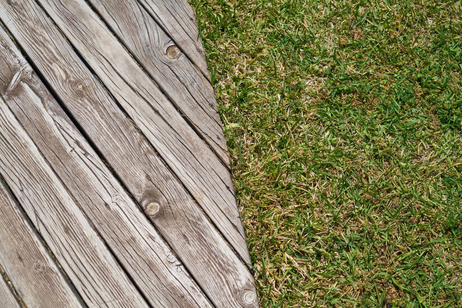 Sony a7R II sample photo. Grass, wood-fibre boards, background photography
