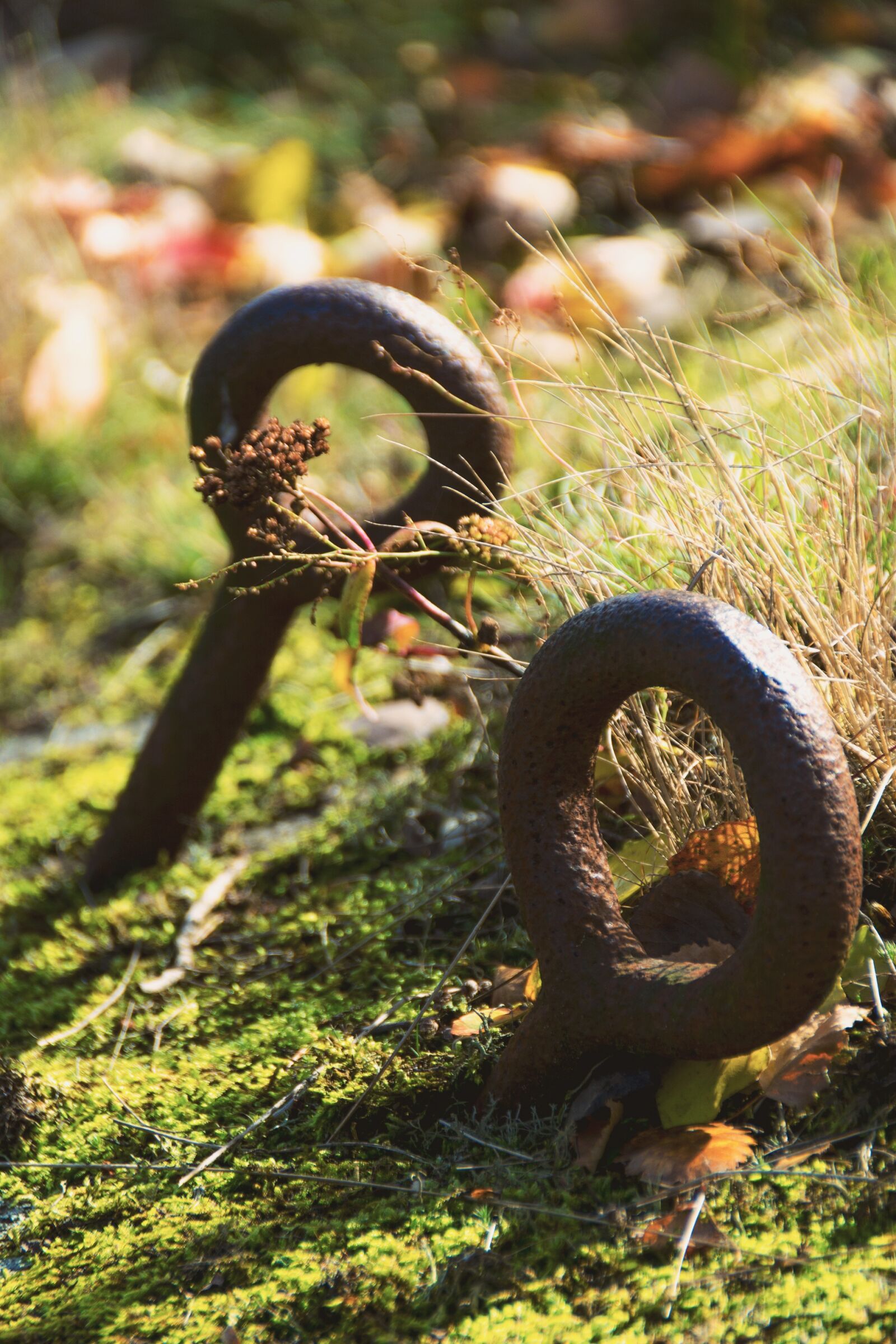 Nikon D7100 sample photo. Iron, iron loop, highlights photography
