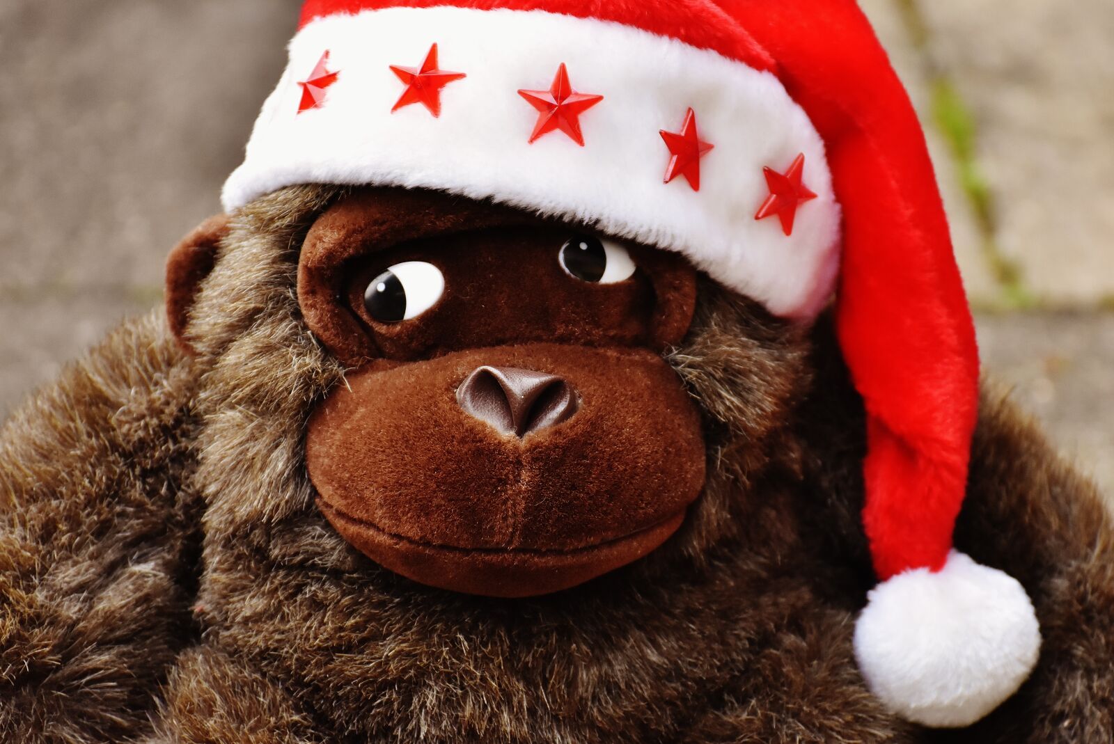Nikon D7200 sample photo. Christmas, santa hat, stuffed photography